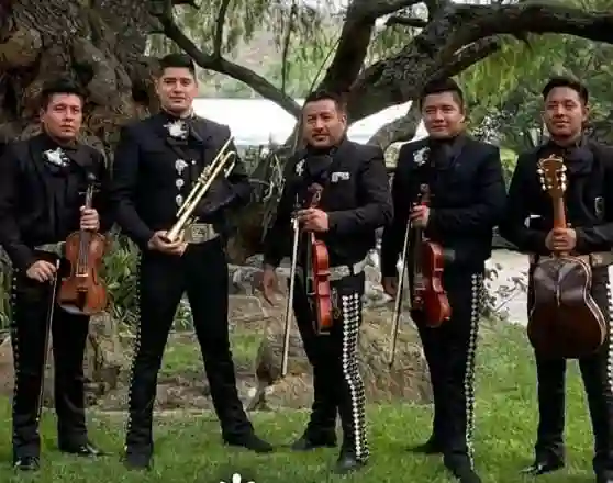 Mariachi en evento